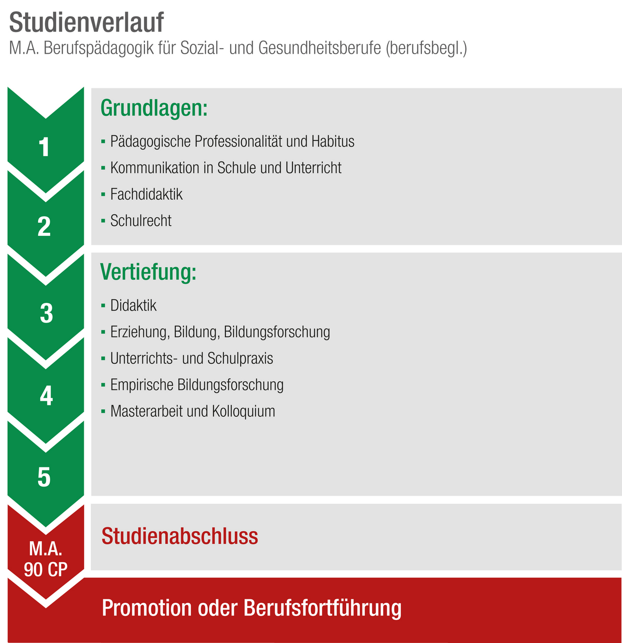 Grafik zum Studienablauf