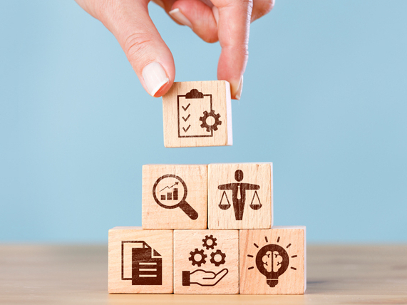 Hochschulentwicklungsprojekte